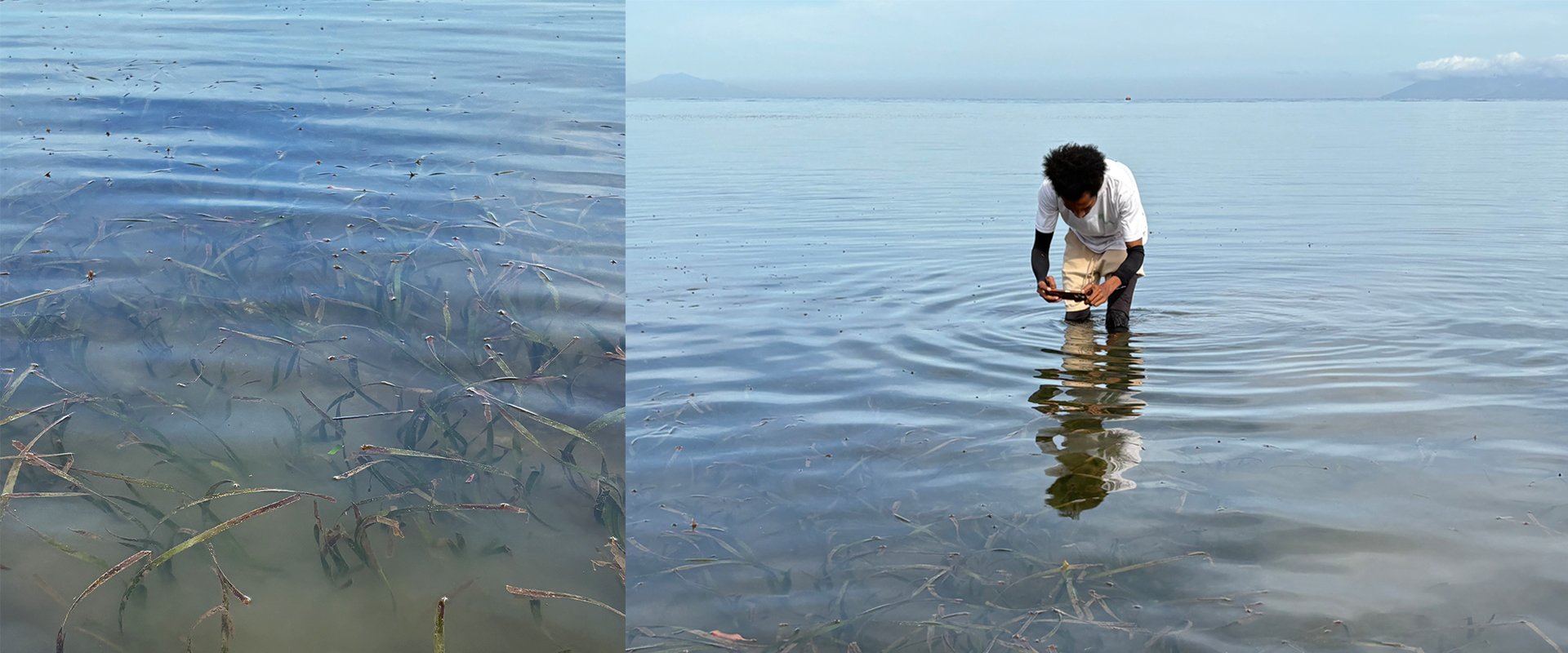 Globally, despite having the largest potential for conservation (up to 31.4 Mha), only about 12% of seagrass habitats are currently protected. Community-led efforts can help map, safeguard, and sustainably manage these critical coastal ecosystems. Data source: Project Drawdown, based on data from UNEP-WCMC & IUCN | Photo: Harry Mahardhika / Open Mapping Hub - Asia-Pacific