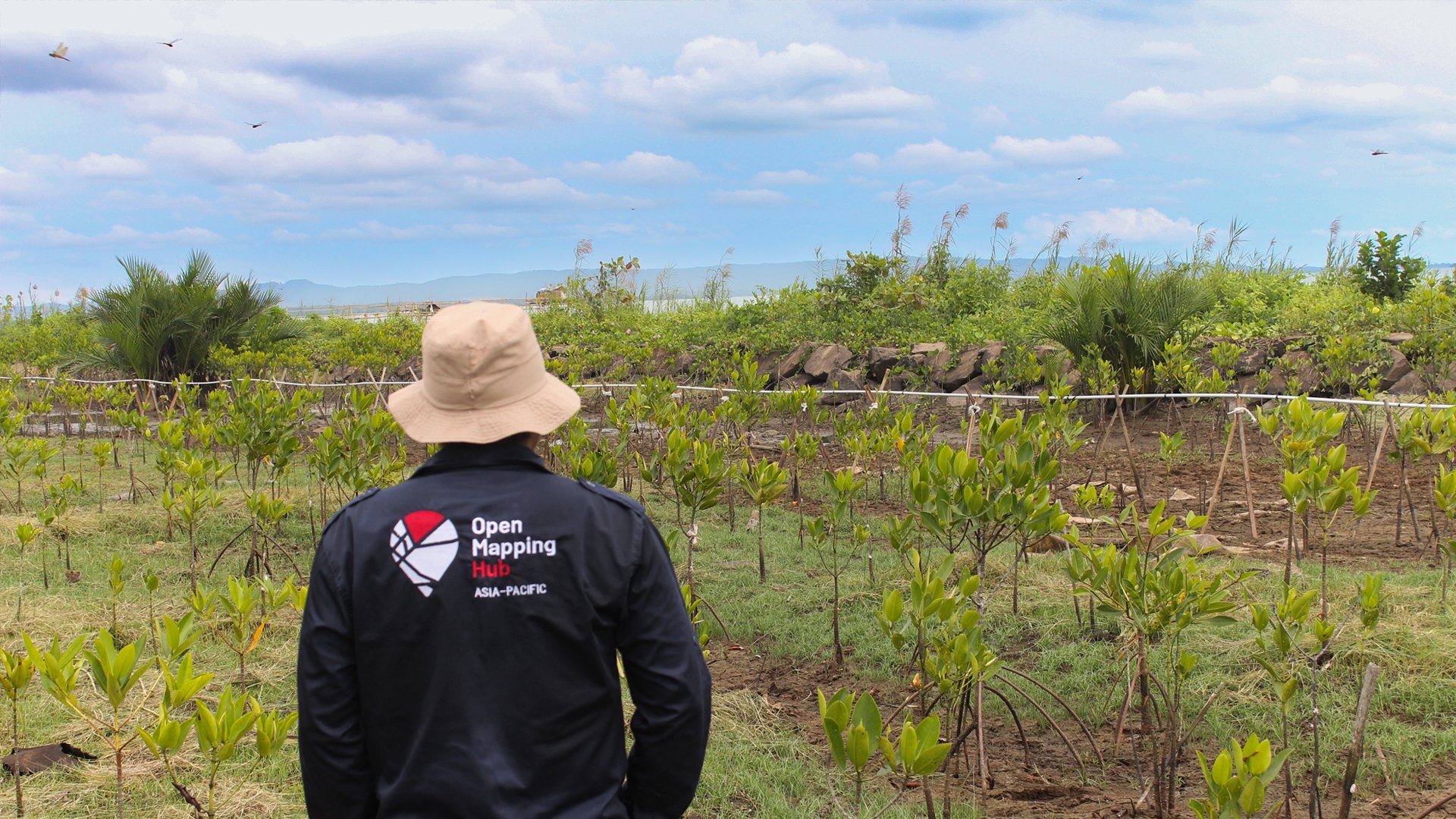 The Blue Carbon Program's mangrove rehabilitation sites, each managed by local community groups | Photo: Tony Liong / Open Mapping Hub - Asia-Pacific