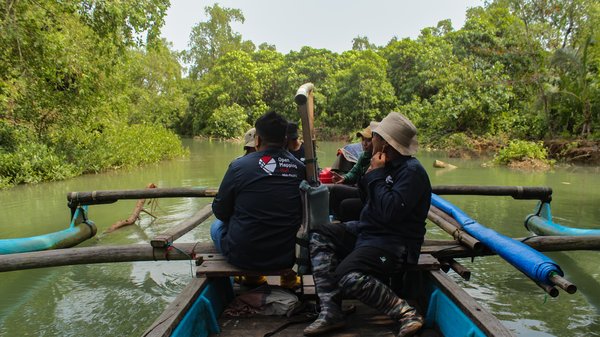 Map4Mangrove_ Website-Cover